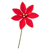 ポインセチアフルリール-S/レッド-1