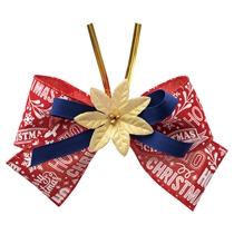 ポインセチアフルリールワイヤータイ-3