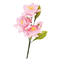 さくらフルリール-M/ピンク-1