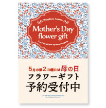 母の日のお花ご予約ダウンロードPOPページ