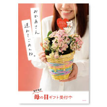 母の日遅れてごめんねギフト販促用ダウンロードPOP