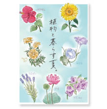 植物と暮らす夏ダウンロードPOP＜夏のお花＞
