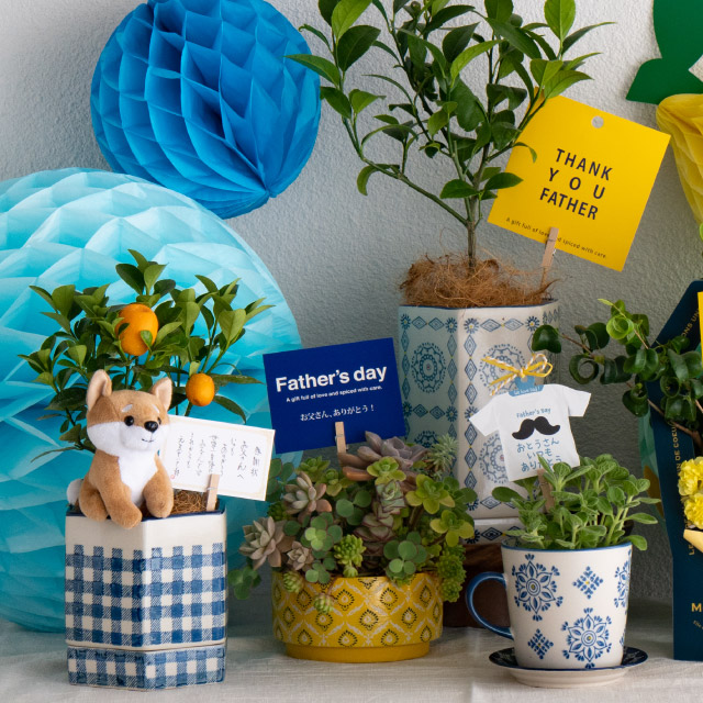 父の日は!イエローが映えるブルーの花器・ポットで!