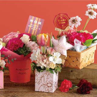 フラワー＆グリーン｜ギフト、ラッピング用品、包装資材通販