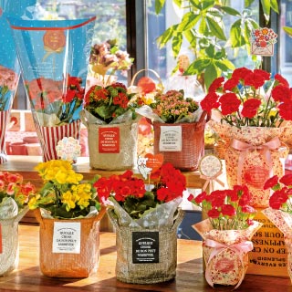 フラワー＆グリーン｜ギフト、ラッピング用品、包装資材通販