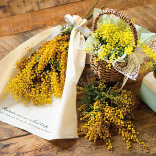 ミモザと合わせておすすめアイテムのご紹介