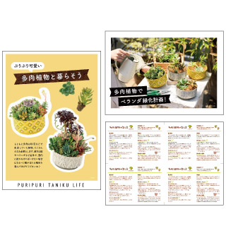 多肉植物ポスターダウンロードポスター