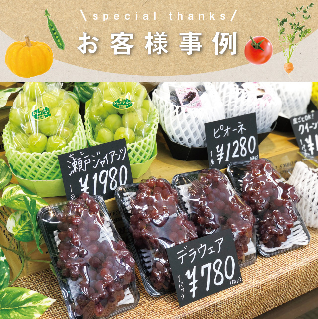フルーツ・果物店【お客様事例】果物の本当の美味しさをしっかり伝えたい