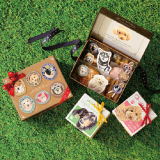 動物福祉活動への寄付金が付いたチャリティアニマルシリーズにかわいい犬のデザインが登場！