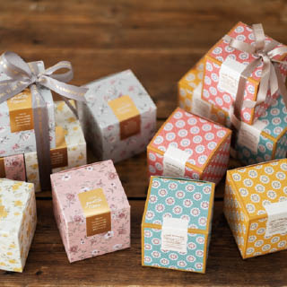 キューブボックス開発ストーリーをご紹介!