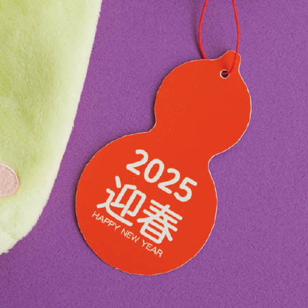2025 Limited Item