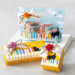 猫デザインのジップバッグとミニボックスギフトのミニ造花付ラッピング