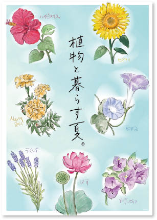 夏の花POP
