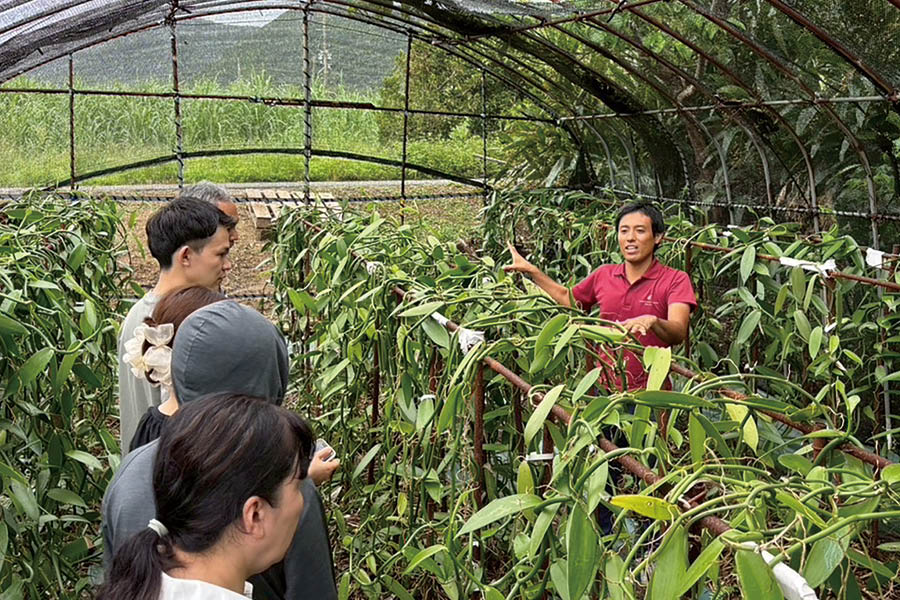 奄美大島の林様