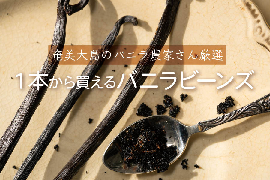 奄美大島のバニラ農家厳選1本から買えるバニラビーンズ
