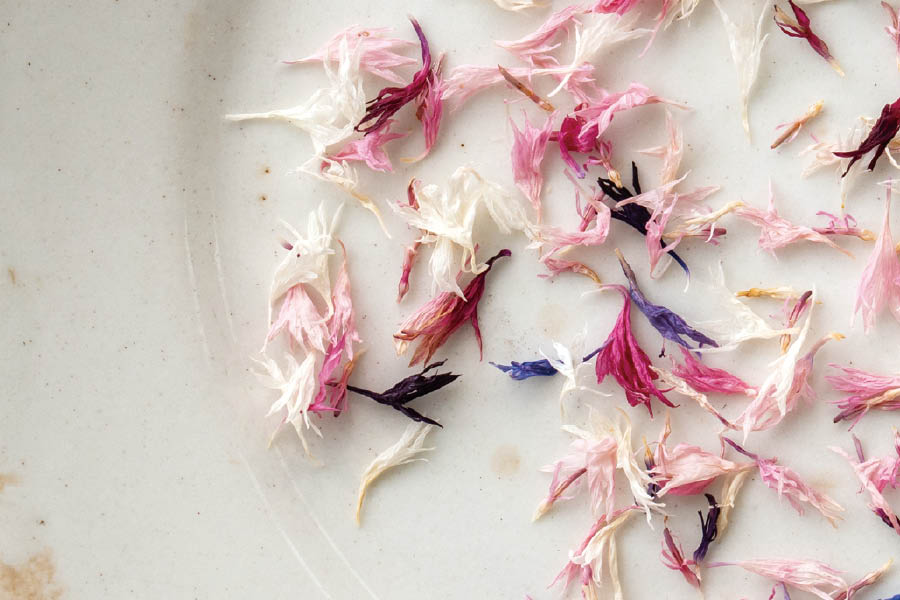 エディブルフラワー拡大