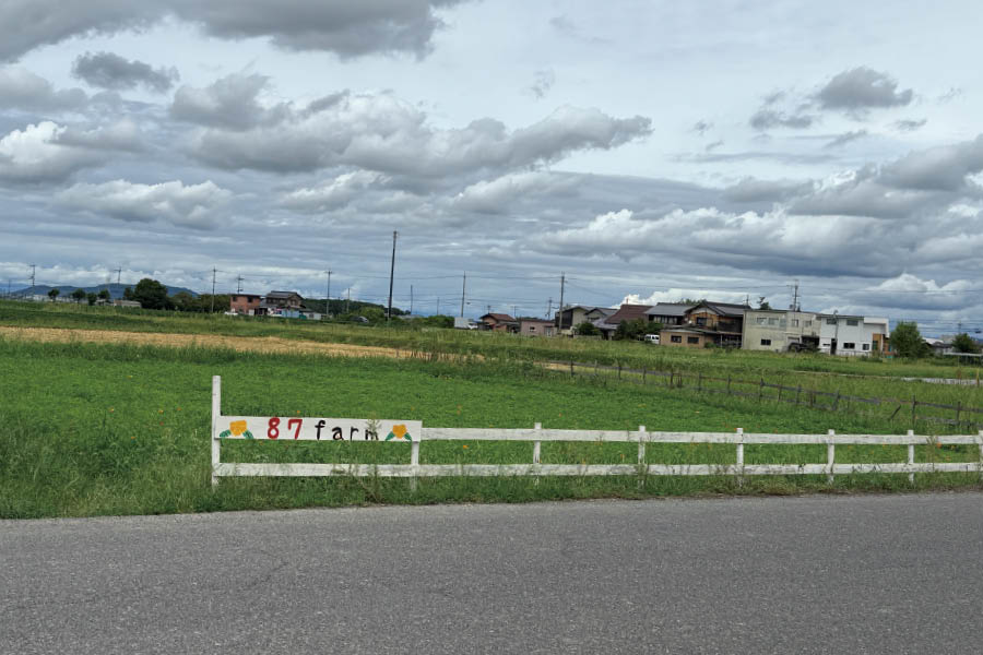 エディブルフラワー生産者の87farm様