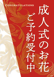成人式のお花ご予約用ダウンロードPOP1