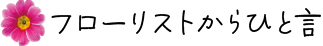 フローリストよりひと言2