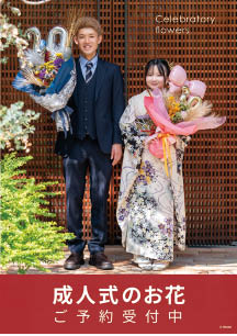 成人の日のお花ご予約ダウンロードPOP
