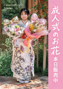 成人の日のお花当日販売用ダウンロードPOP1