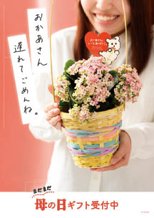 遅れてごめんね母の日ダウンロードPOP2