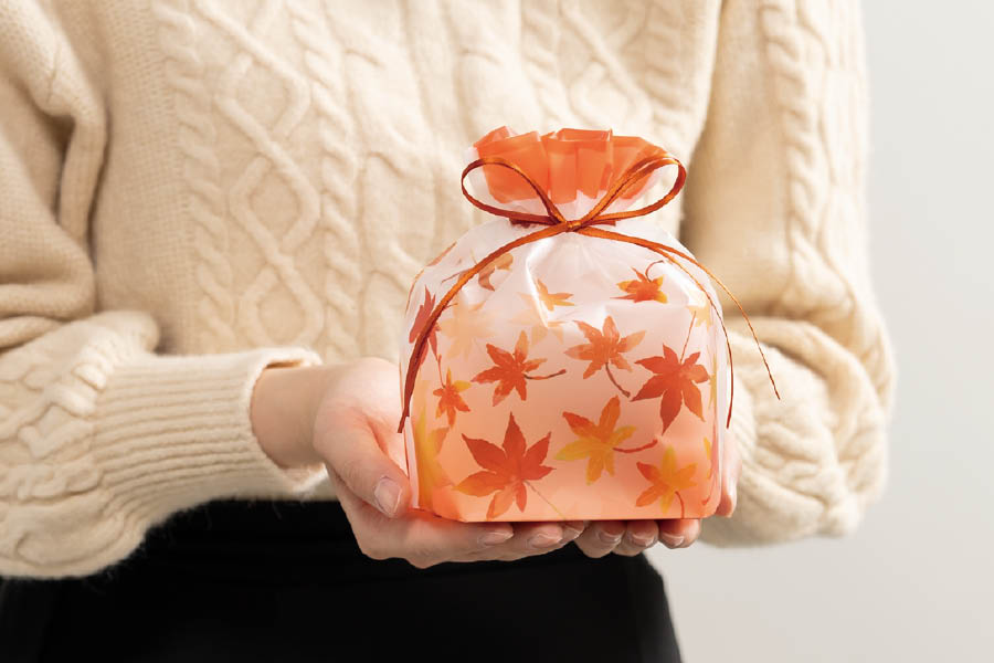 もみじデザインの巾着バッグ-新商品案内