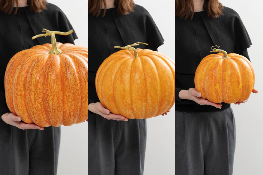 かぼちゃのディスプレイアイテム大きめのサイズ