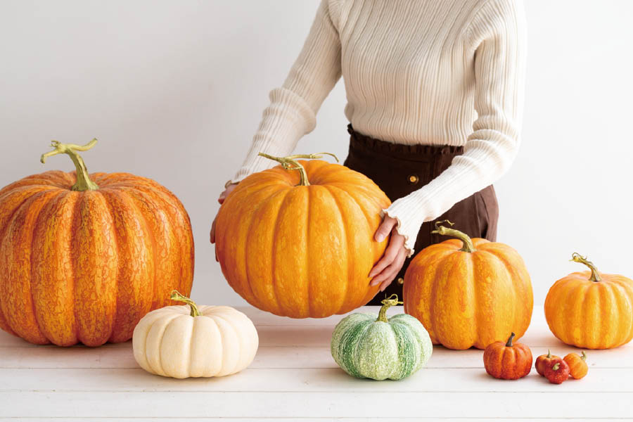 かぼちゃのディスプレイアイテム-新商品案内