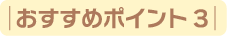 おすすめポイント1