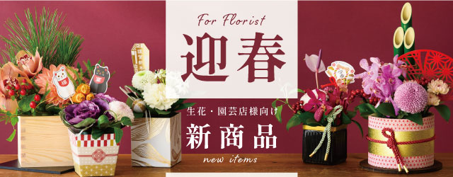 2024年迎春新商品