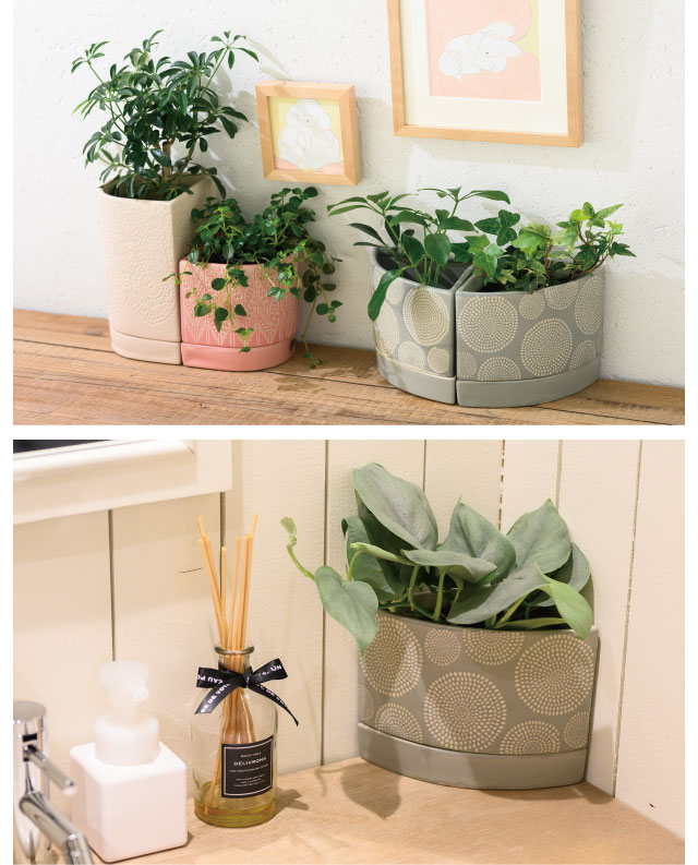 観葉植物/植木鉢・鉢カバー特集｜ギフト、ラッピング用品、包装資材
