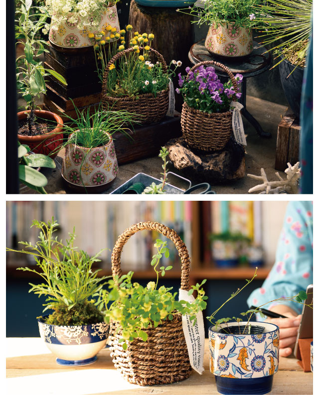 観葉植物/植木鉢・鉢カバー特集｜ギフト、ラッピング用品、包装