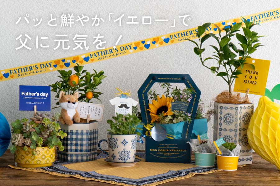 父の日は!イエローが映えるブルーの花器・ポットで!
