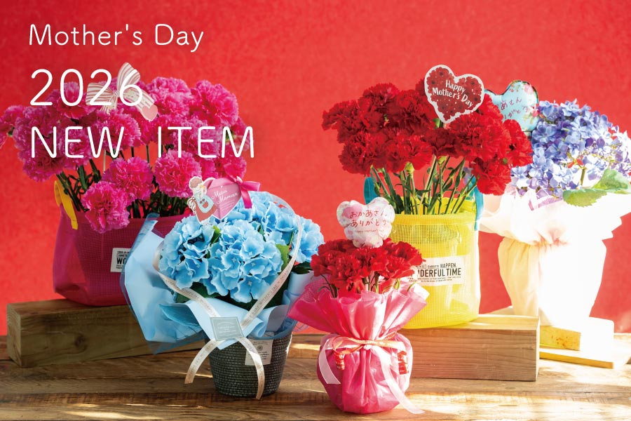 母の日おすすめ苗・鉢アイテム