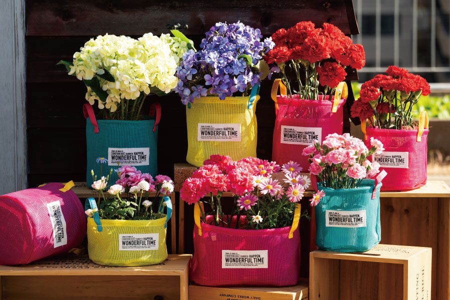 カーネーションや紫陽花を入れた色とりどりのメッシュ地花鉢用バスケットが並ぶ