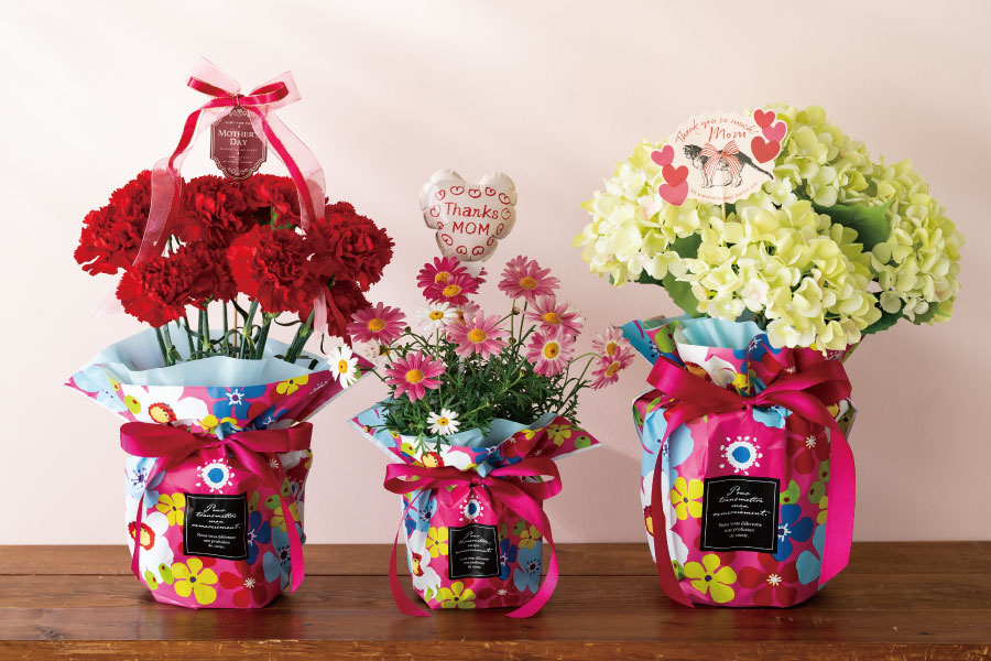 巾着バッグでラッピングされた鉢物が並ぶ