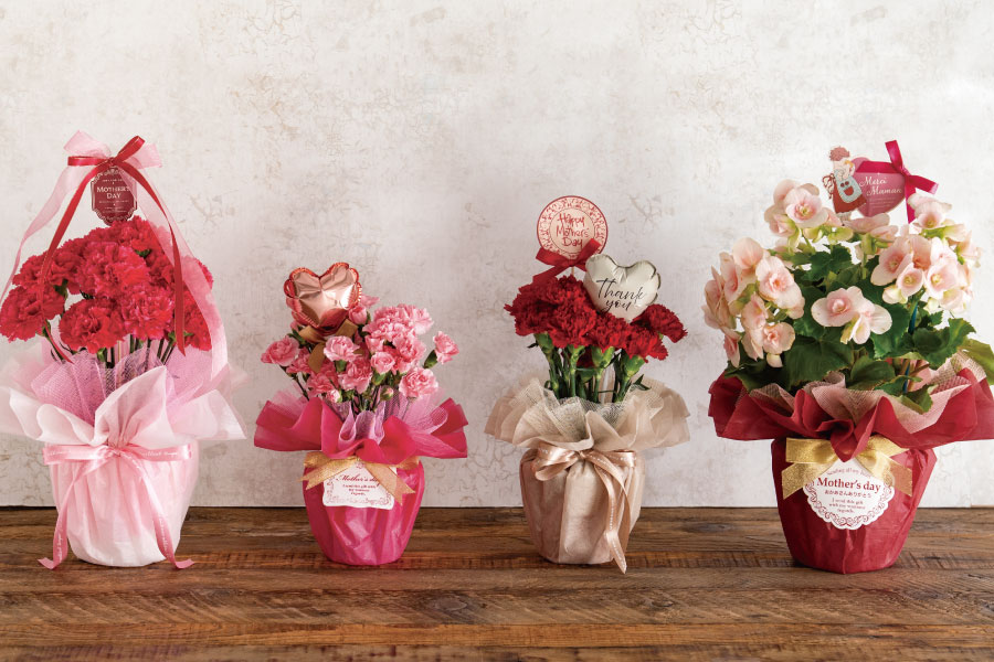 フリルが可愛いラッピング