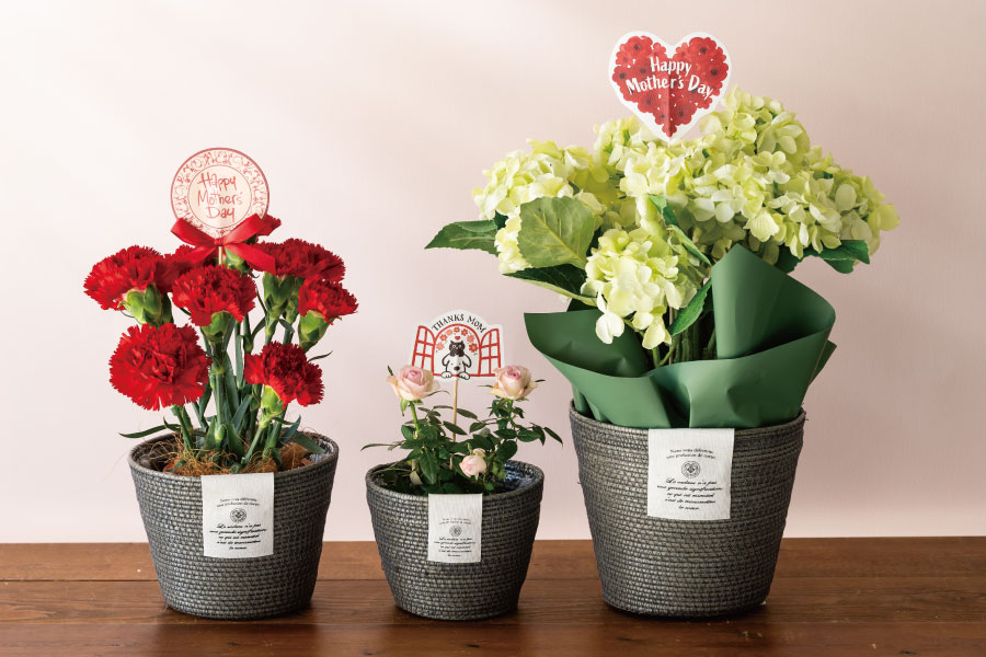 紫陽花、カーネーションが落ち着いた編みバスケットに入れられる