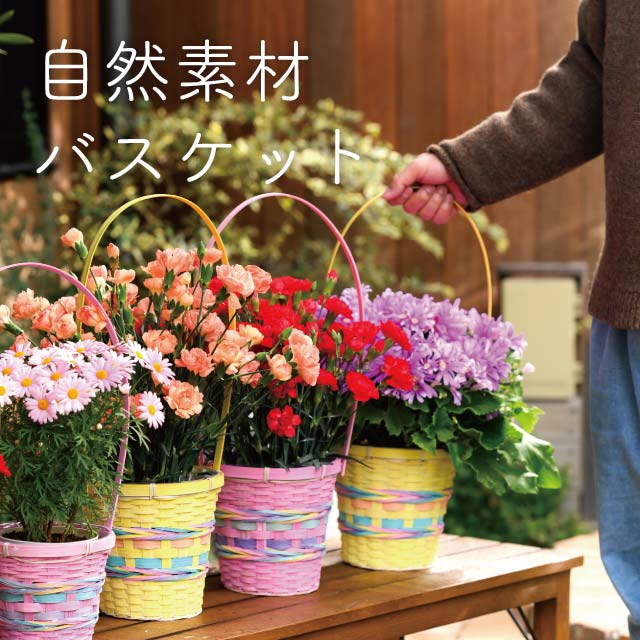 自然素材バスケット