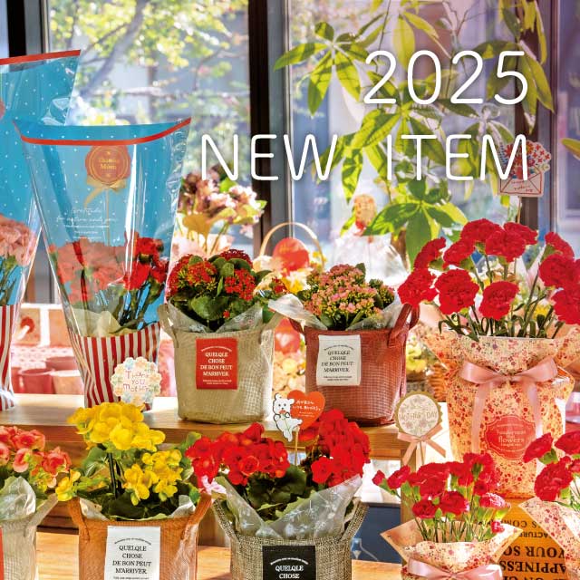2024年の新商品が並ぶ
