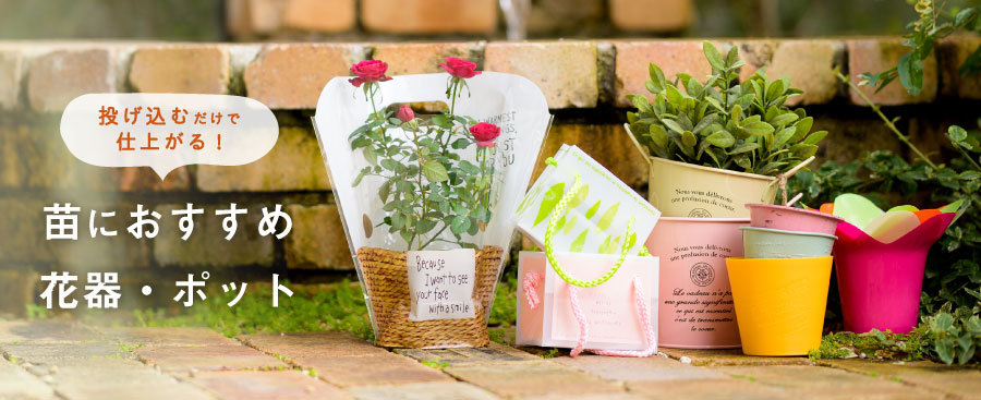 花屋さんにおすすめ花器と苗ポット ギフト ラッピング用品 包装資材通販 Heads ヘッズ
