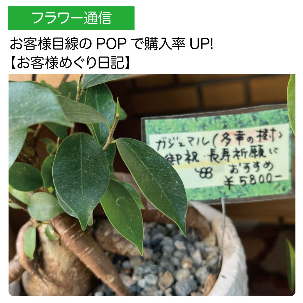 お客様目線のPOPで購入率UP！【お客様めぐり日記】