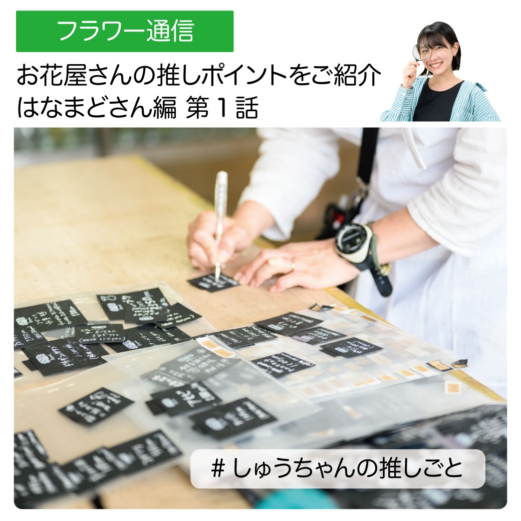 【しゅうちゃんの推しごと】はなまどさん編 第１話