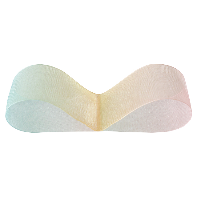 レインボーオーガンジーリボン-1