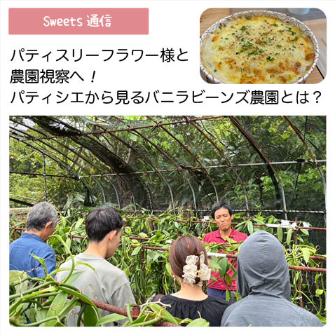 バニラビーンズのこと vol.2